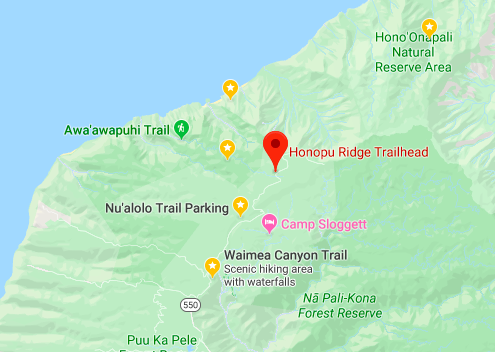 Opaekaa Falls Map